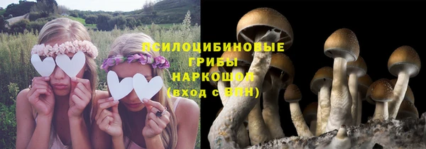 соль курить ск Бородино