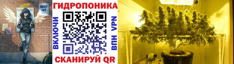 Канабис OG Kush  Купить где  Гремячинск 